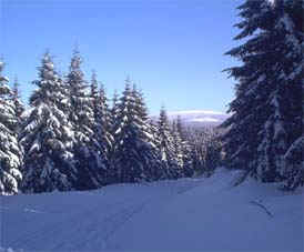 Yeti Ski + Outdoor-Shop 